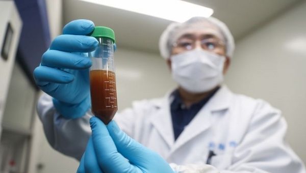 Pacientes curados de coronavírus testam novamente positivo na Coreia do Sul