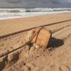 Caixas 'misteriosas' aparecem em praia do flamengo em Salvador