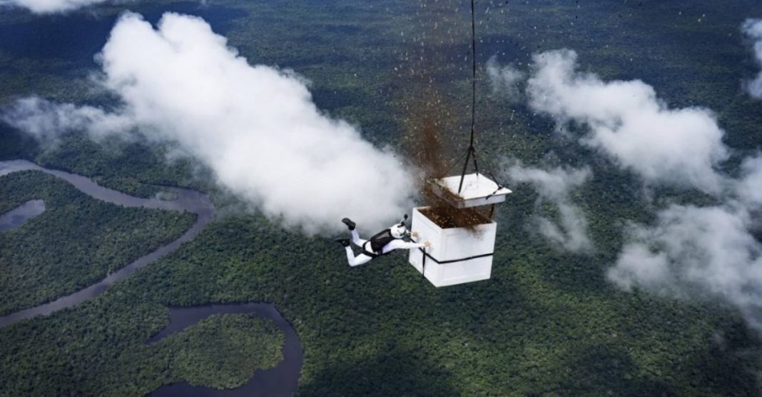 Paraquedista lança mais de 100 milhões de sementes em área desmatada da Amazônia