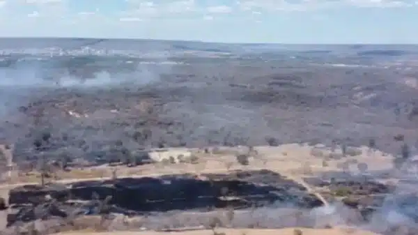 Dois aviões e 40 bombeiros reforçam atuação no combate ao incêndio que atinge vegetação no oeste da Bahia