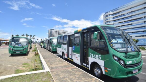 Salvador ganha 41 novos ônibus com ar-condicionado