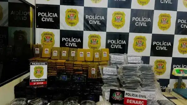 Mais de 300kg de cocaína e maconha foram apreendidos em Rancharia (SP) — Foto: Polícia Civil