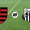 Flamengo x Santos: onde assistir ao vivo, horário e escalações