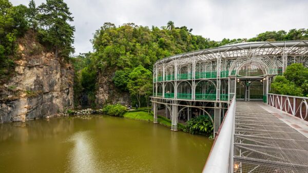 Baianinho de Mauá: conheça astro da sinuca que era pedreiro e