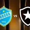 Botafogo x Aurora: onde assistir ao vivo, horário e escalações